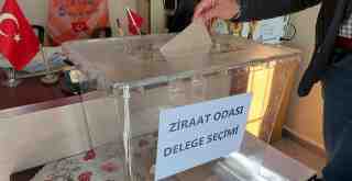 MİZO’nun delege seçimleri yapıldı