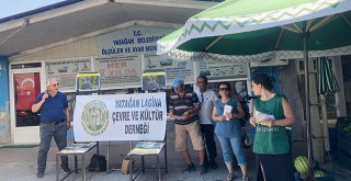 “Toprağımızı Vermiyoruz” Platformu’ndan Açıklama: “MUĞLA’YI VERMİYORUZ!”