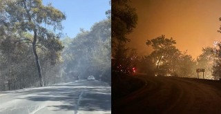 Yeşil Orman Gitti, Simsiyah Gece Çöktü
