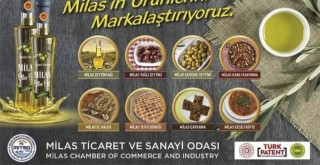 “Coğrafi İşaret Yeterli Değil; Milas’ın Ürünleri Bulunabilir Olmalı”