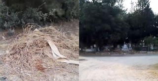 Dibekdere Mezarlığı Çevresindeki Kirlilik Yangın Tehlikesi Oluşturuyor