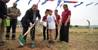 BAŞKAN TOPUZ ÖĞRENCİLERLE BİRLİKTE ZEYTİN FİDANI DİKTİ