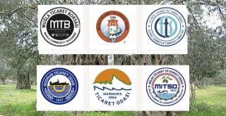 Muğla Odaları ve Borsasından Ortak Açıklama: “Zeytin Muğla’da Yaşamın, Bolluğun ve Bereketin Simgesidir”