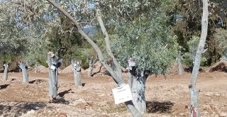 İkizköylülerden Açıklama: “Muhtarlar Danışma Kurulu Yok”