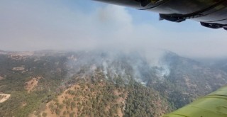 Denizli Buldan’dan başlayıp Aydın Buharkent’e Sıçrayan Yangını Söndürme Çalışmaları Sürüyor