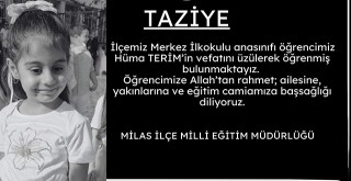 Minicik Bir Can, Kocaman Bir Acı Bıraktı