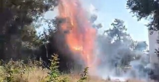 Kıyıkışlacık Zeytinlikuyu Mevkiinde Çıkan Yangın Kısa Sürede Söndürüldü