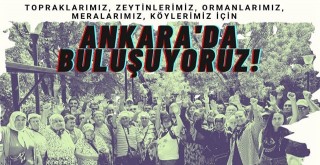 “Memleketin Vicdanına Çağrımızdır!”