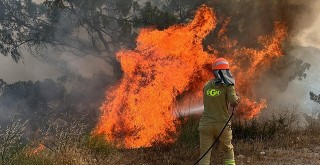 Orman Yangınında 2 Hektar Alan Zarar Gördü