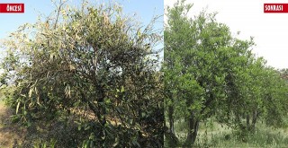 Zirai Donun Yaraları Büyükşehir’in Desteğiyle Sarıldı