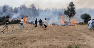 Başkan Aras Uyardı: “Anız Yakmak Felakete Davetiye”