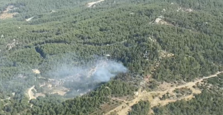 Milas Yumrutaş Mevkii’nde Orman Yangını