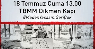 ​​​​​​​Açlık Grevine Rağmen Yasa Geçti: “Zeytinlerimizden Vazgeçmeyeceğiz!”