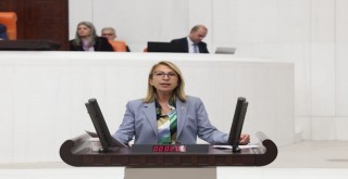 CHP’li ÖNEŞ DERİCİ: “TBMM, Orman Yangınlarını Araştırsın”