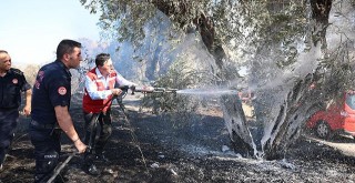 Artan Sıcaklar Sonrası Yangın Uyarısı
