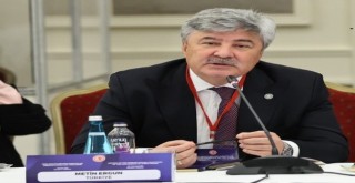 Muğla’daki Zeytinlik ve Orman Arazileri Satışa Çıkarıldı, İYİ Partili Ergun Tepki Gösterdi