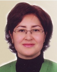 Gülçin Erşen